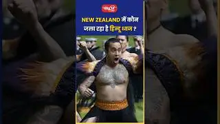 NEW ZEALAND में कौन जला रहा है हिन्दू ध्वज? | #HinduFlag #newzealandnews #shorts #sanskritiias