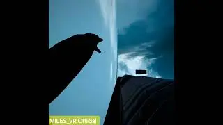 Speed run to city and back