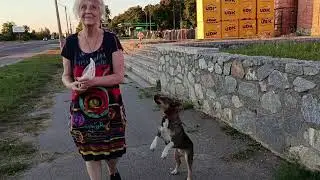 Nature & Village Life | Sunset Forest, Lake Dawn, Caring for Animals