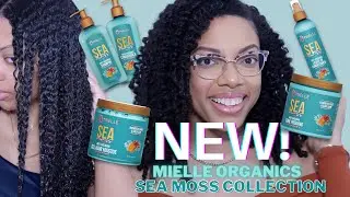 NEW! SEA MOSS ANTI-SHEDDING COLLECTION| MIELLE ORGANICS| CURLSBYTHEDOZEN