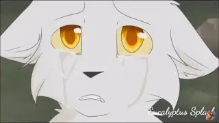Rest in piece - a sad warrior cat Animash