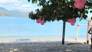 East Timor 🇹🇱: The Hidden Paradise No One Talks About! #travel #travelvlog 🏝️ 🌊