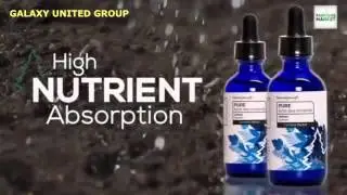 Pure от Forever Green  Рассказывает Мишель Люсьер