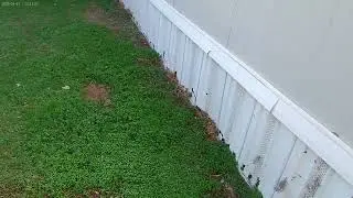 First video testing and setting up [AIRSOFT TOYS]