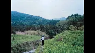 タテタカコ - 遠い日［OFFICIAL MUSIC VIDEO］