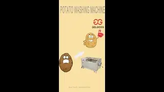 Commercial Automatic Potato Brush Washing Machine