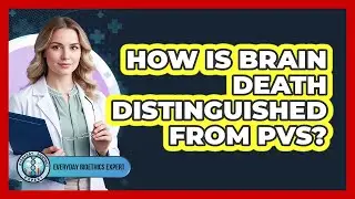 How Is Brain Death Distinguished From PVS?