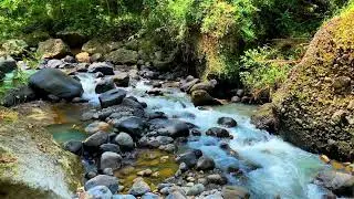 ☀️ Summer River Breeze | Warm Water Sounds | Peaceful Flow | Hot Day Cooling Relaxation