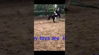 Now my toys is life-size￼