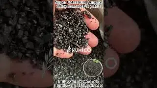 High Quality Super Potassium Humate Shiny Granules/Crystals: The Next Level in Organic Fertilizers