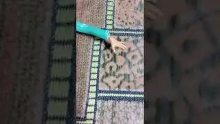 Куклы Винкс тайникс Влора