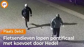 Elf racefietsen weg na twee nachtelijke inbraken I Plaats Delict