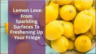 Lemon Love: From Sparkling Surfaces To Freshening Up Your Fridge | Bond Cleaning Melbourne