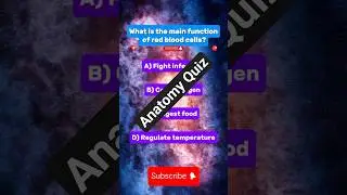 #anatomyfacts #anatomyquiz #humanbodychallenge #lungsfunction #bioquiz #anatomylesson #learnwithme