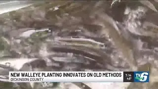 Walleye added to Dickinson County lakes