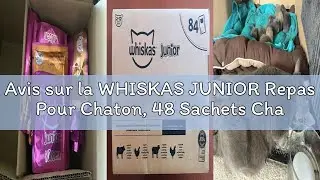 Avis sur la WHISKAS JUNIOR Repas Pour Chaton, 48 Sachets Chat en Gel&eacute;e JUNIOR, 4 Vari&eacute;t&eacute;s,(4 Packs d