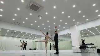 바흐 폴로네즈와 바디네리