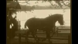 [Re-imagined] Watervale Summer BBQ Hayride