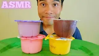 ASMR 먹방 pudding jelly eating (blueberry, mango, chocolate, guava)