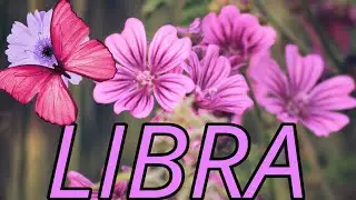 LIBRA - MY CRYSTAL BALL REVEALS UNEXPECTED NEWS YOU NEED TO KNOW ABOUT! JANUARY 2026