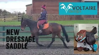 VOLTAIRE ADELAIDE DRESSAGE SADDLE - Unboxing, trial and first thoughts.