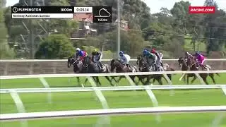Alligator Blood Smashes Catalyst | Flemington