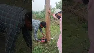 malabar neem buyers.9392488070