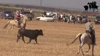 16 de agosto de 2024