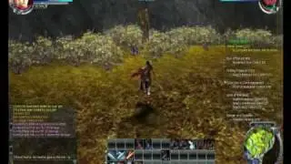PristonTale2 - Paladin level 26