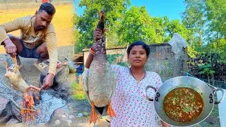 Duck curry preparation by tribes || duck curry recipe || village tribal life