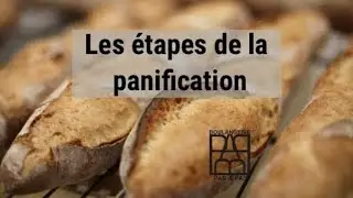 &Eacute;tapes de la panification.