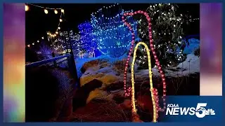 Vote for Cheyenne Mountain Zoo's Electric Safari to win Best Zoo Lights award