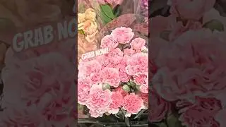 FRESH FLOWERS DEAL / INTERIOR STYLING / TAG #41 #bargains #coastalliving