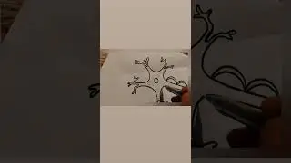 The part of the nervous system (  structure of neuron) with naming..... 🖊️