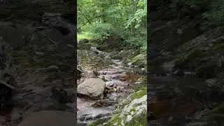 Sounds of nature at Daedun Mountain, Korea 4 #soundsofnature #daedunsan #naturesounds