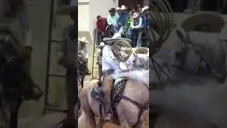 🔥QUIQUE JIMENEZ 🔥 #caballos #trending #tiktok #charrer&iacute;a #horses #charros #piales