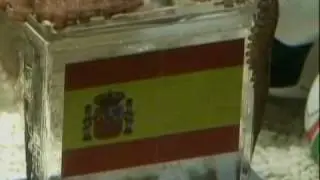 Psychic Octopus Picks Spain in World Cup