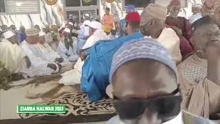ZIARRA HALWAR 2025