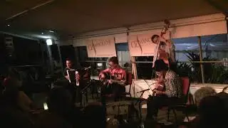 241 2008 11 OZ MANOUCHE HANK MARVIN