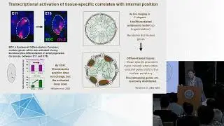 DNA damage response and repair | 2024 Genome Architecture and Function Workshop