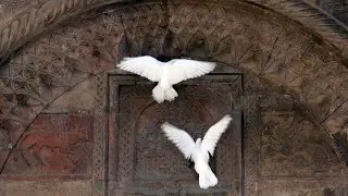 liberation for all 