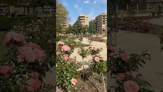 #flowers #jisooflower #flowerchallenge #ivanlife #travel Val&egrave;ncia, park Turia #valencia #spain