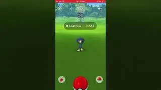 Catching Murkrow in Pokemon Go!