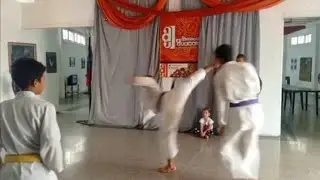 Entrenamiento de karate 🥊🥋🐉