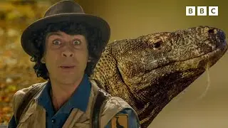Andy and the Komodo Dragon | Safari Adventures | Andy's Amazing Adventures