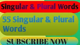 55 Singular & Plural Words l 55 Singular & Plural Words In English l Singular & Plural Word List