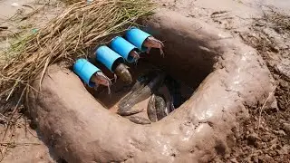 Survival Skills: Making Trap To Catch Catfish using Using Deep hole & pvc pipe That Work 100%