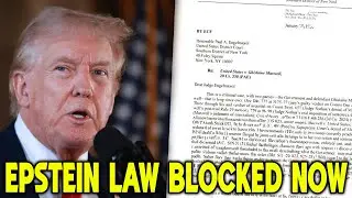 🚨Trump makes EMERGENCY FILING&hellip; to BLOCK EPSTEIN LAW!!