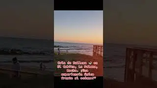 #coladeballena #uruguay #lapaloma #viral