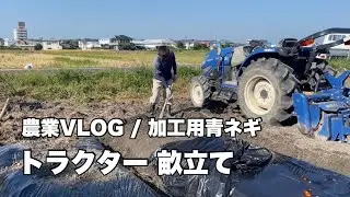 【農業】青ネギ 栽培 農業機械 トラクター 畝立て マルチ張り